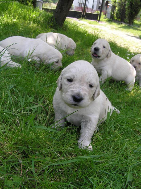 Foto: Arinka-moe arinka ještě byla mainkaa :o)