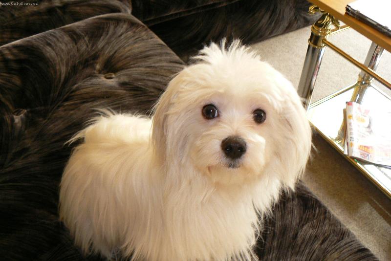 Foto: KIMI-Tak půjdeme už ven?