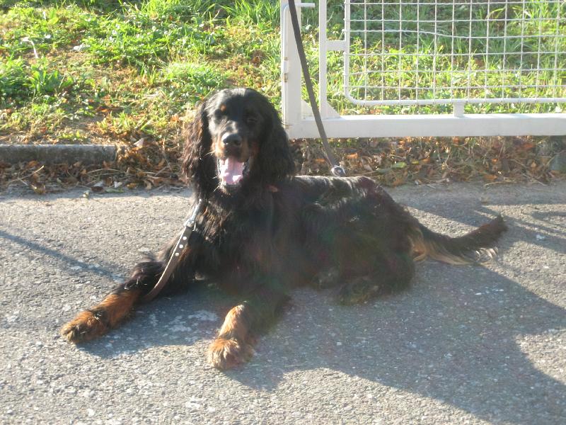 Foto: Tony-já nejsem nervozní ze zkoušek jako ty