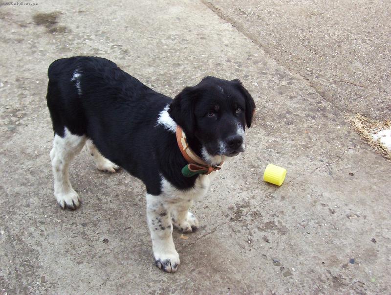 Foto: Kazan-kazan ve 4 měsících