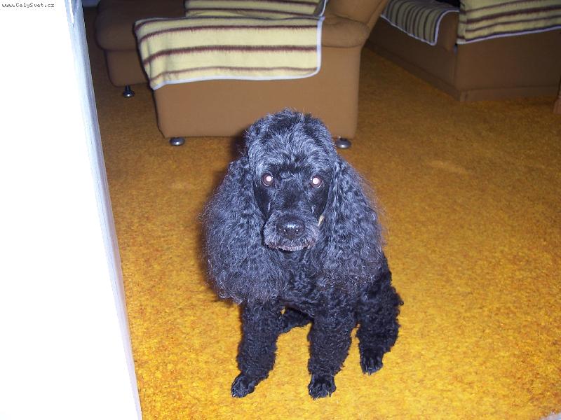 Foto: Fida-To jsem já, když jsem byl malej.