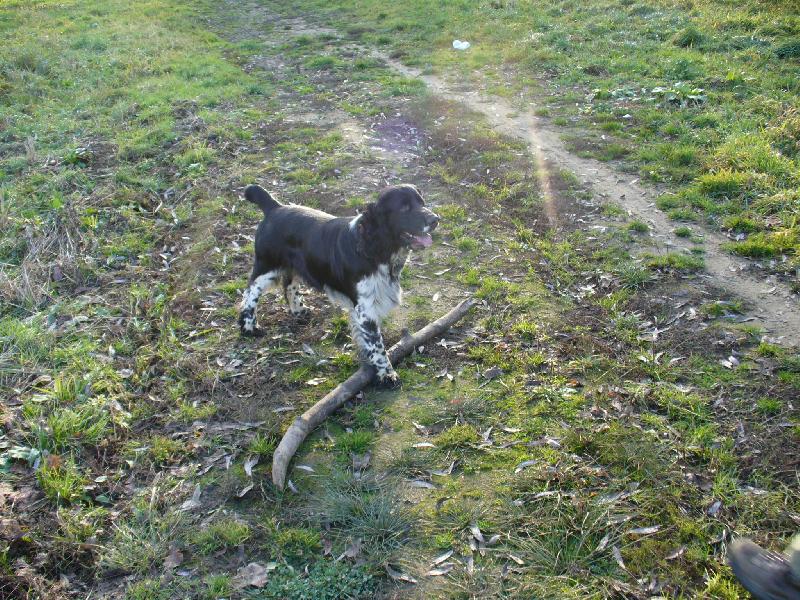 Foto: tenhle aport je můj!