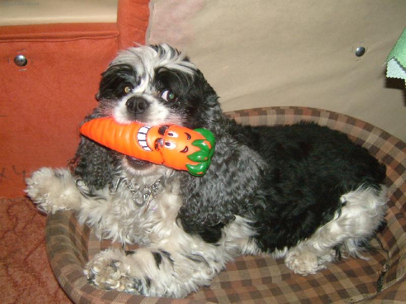 Foto: zdravá strava?