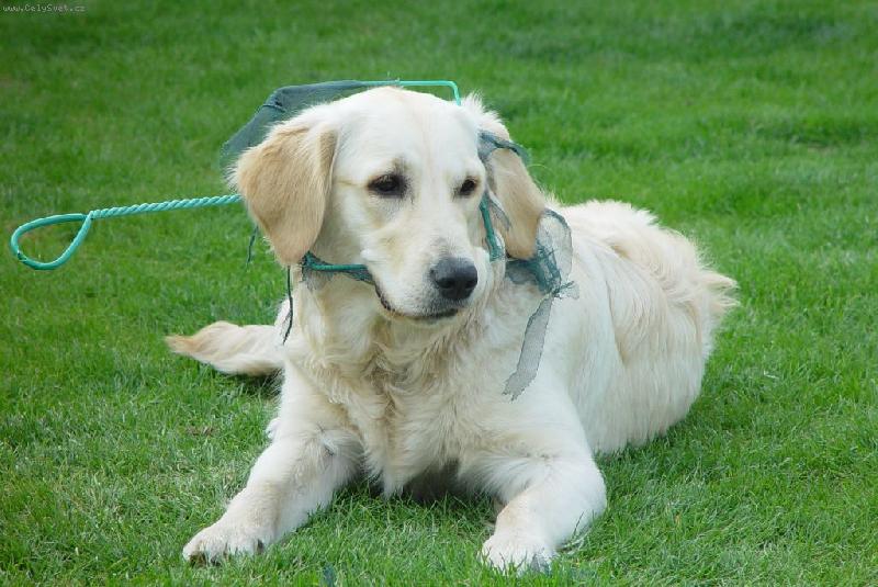 Foto: Anny a síka na rybičky