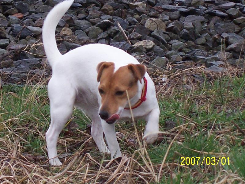 Foto: Fattynka-na procházce