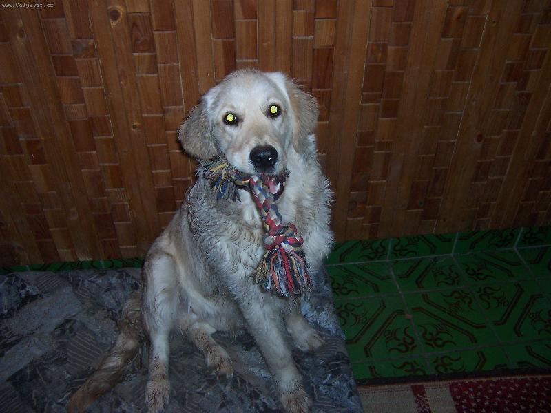 Foto: Krásně čistý