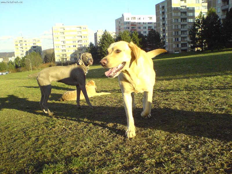 Foto: Bára-Bára na výběhu  2.3.2007