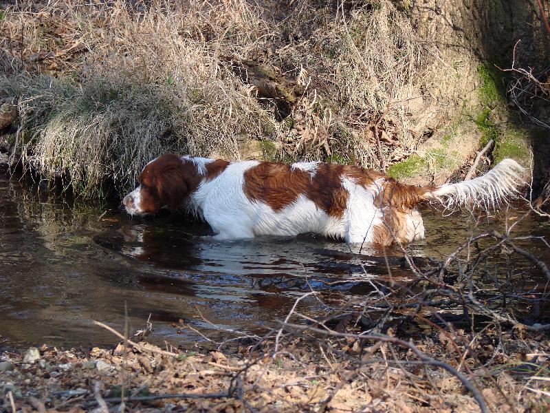 Foto: vodní stopa-IRWS