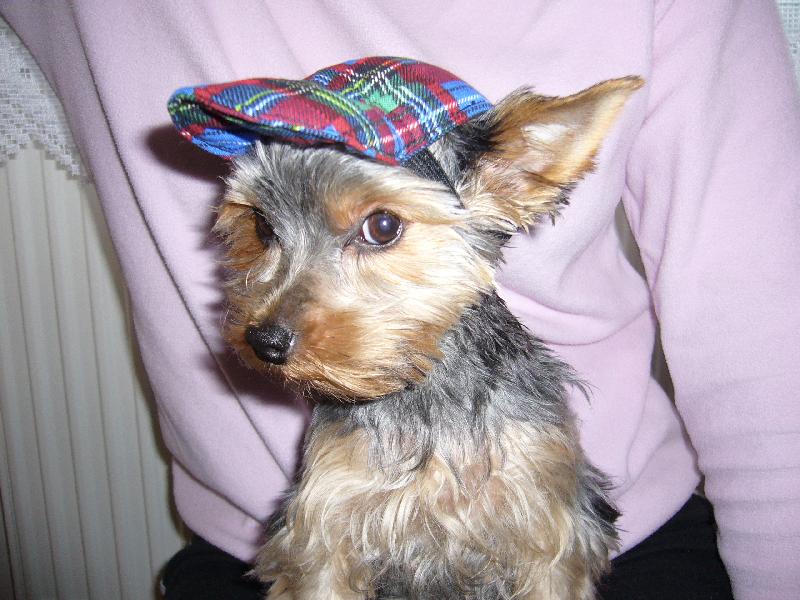 Foto: mam novou ksiltovku hezucka ze :-)