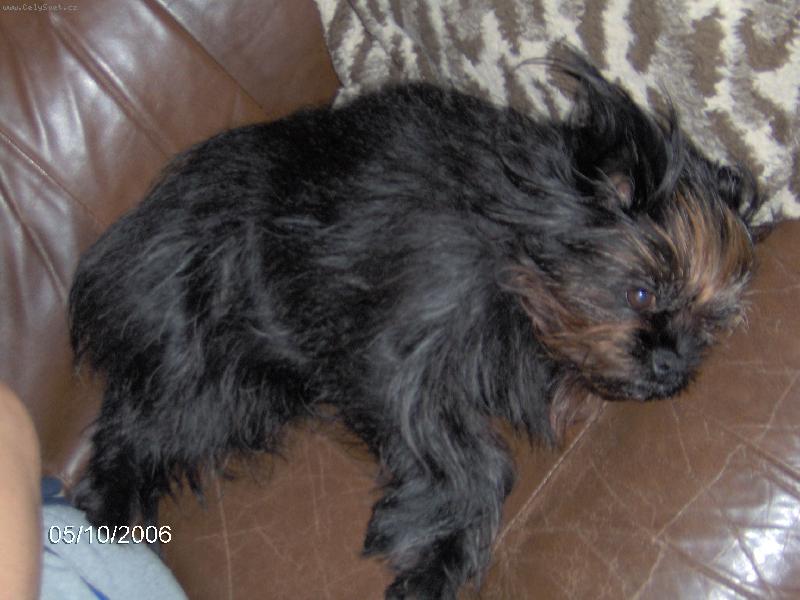 Foto: leháro-pinká