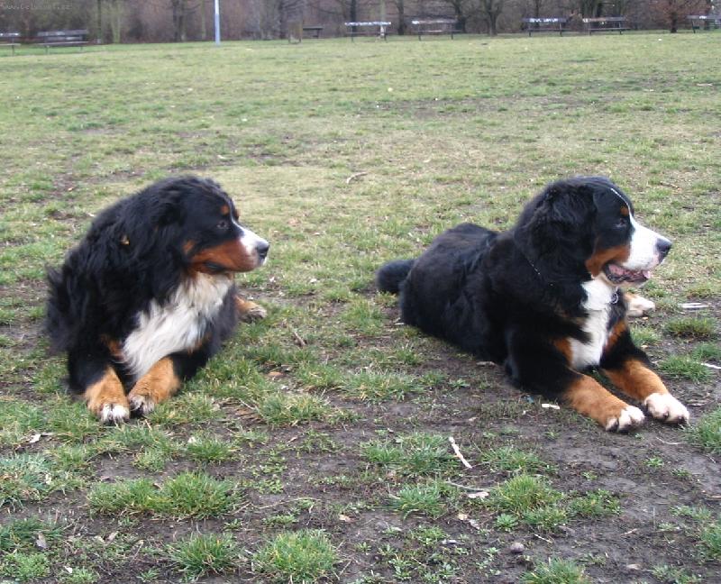 Foto: mušketýři na Kavčích horách-At z Labského zátiší a Astor Polepské údolí