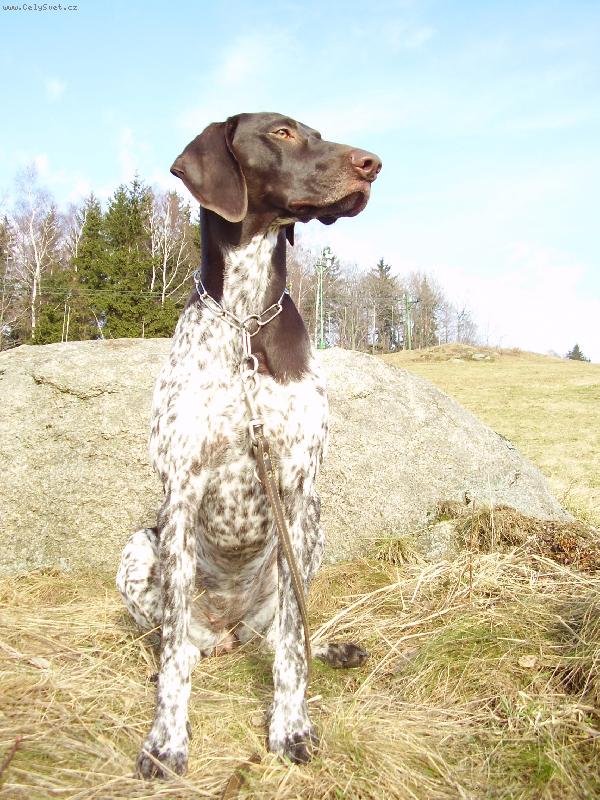 Foto: NKO Cirra Laváre Morávia