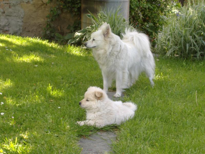 Foto: Ketka s neroškem