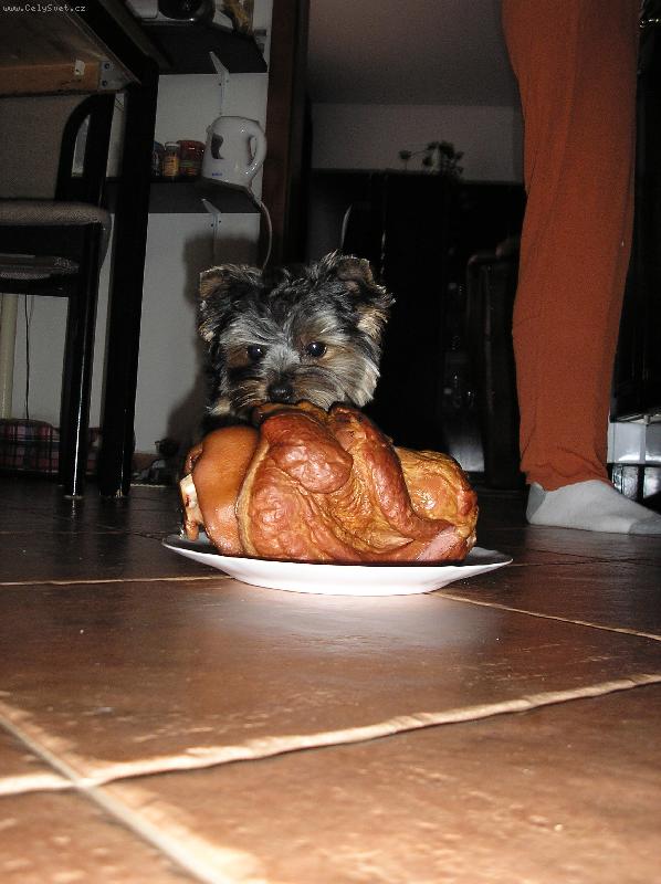 Foto: to je papáničko