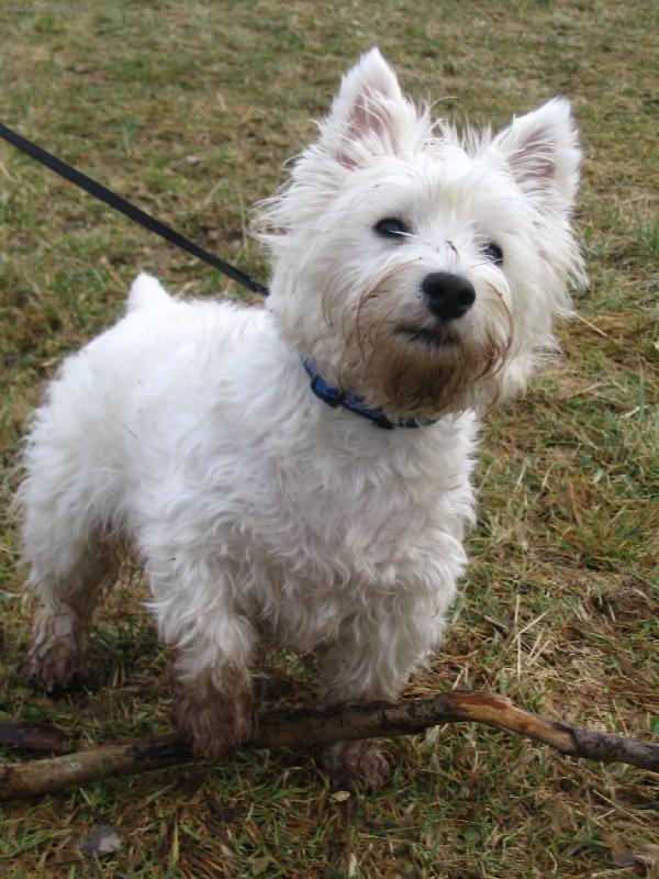 Foto: Erik Coloris Nova-na horách, když není sníh