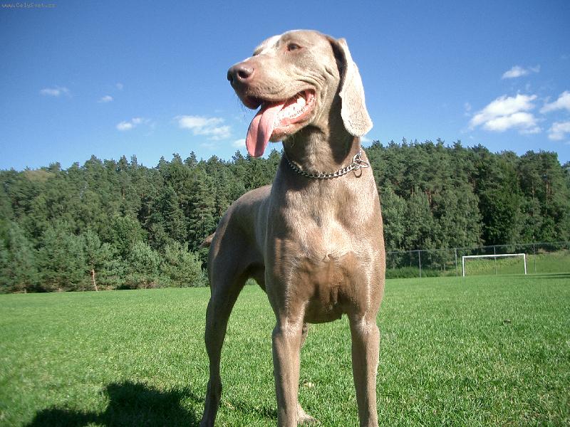 Foto: Aime-Tak co na mě říkáte?:o))