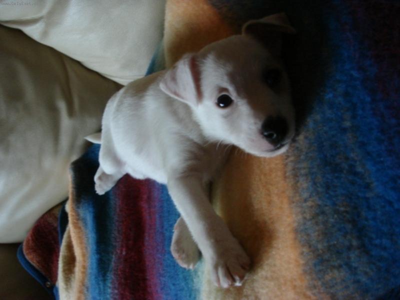 Foto: Není nad lenošení