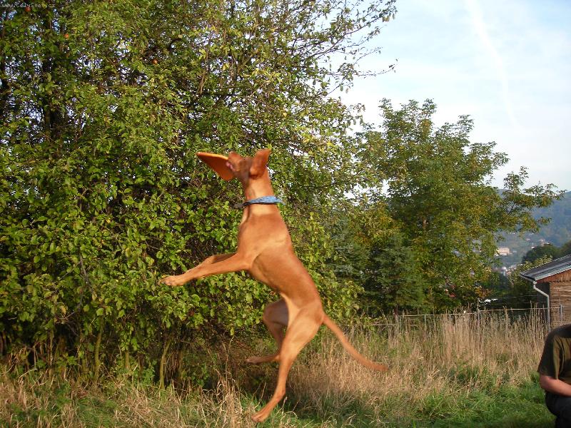 Foto: Nely z Děčína-nic mi neuteče