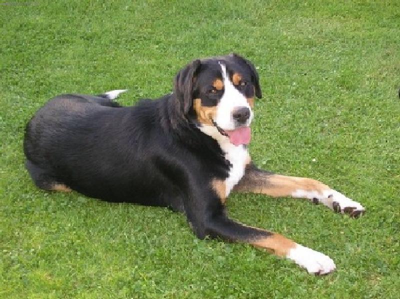 Foto: Dynno Rodyry-Náš velkej Dynoušek