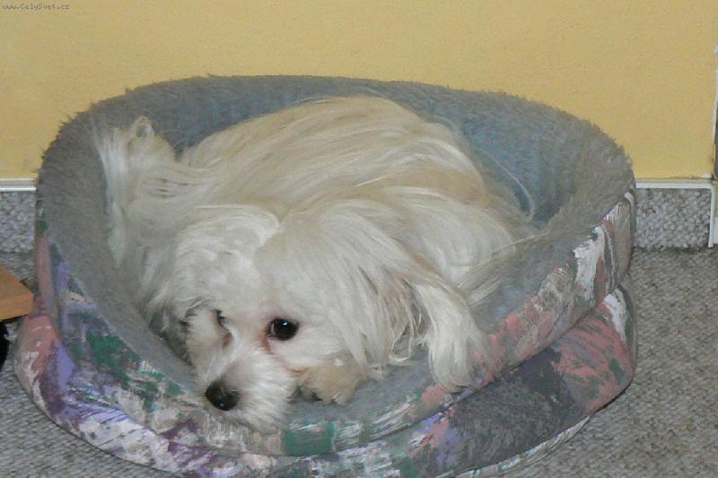 Foto: KIMI-zasloužený odpočinek