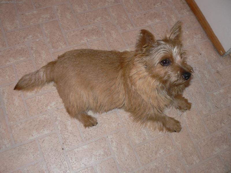 Foto: Norvič-Benny (Jakub z Muškátové zahrady)