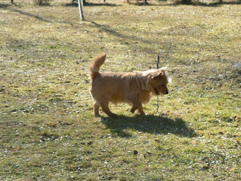 Foto: Norvič-Benny (Jakub z Muškátové zahrady)