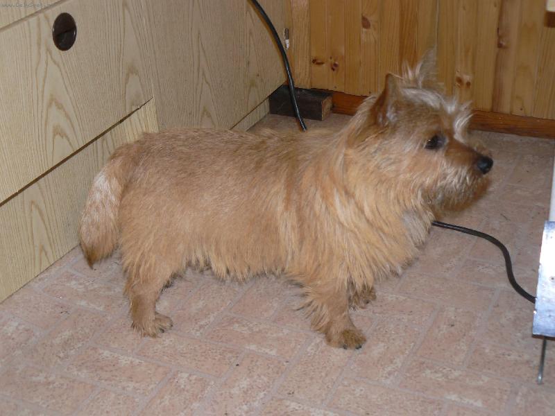 Foto: Norvič-Benny (Jakub z Muškátové zahrady)