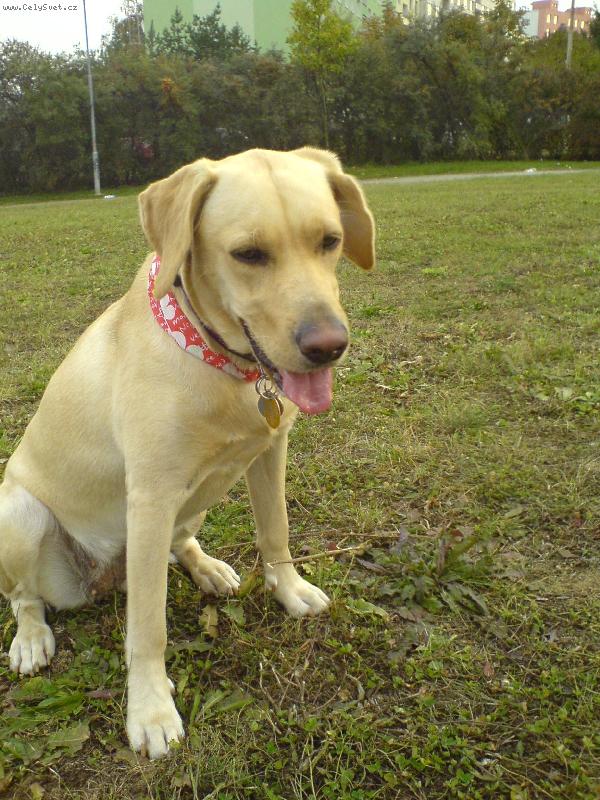 Foto: Bára na louce-Léto 2006