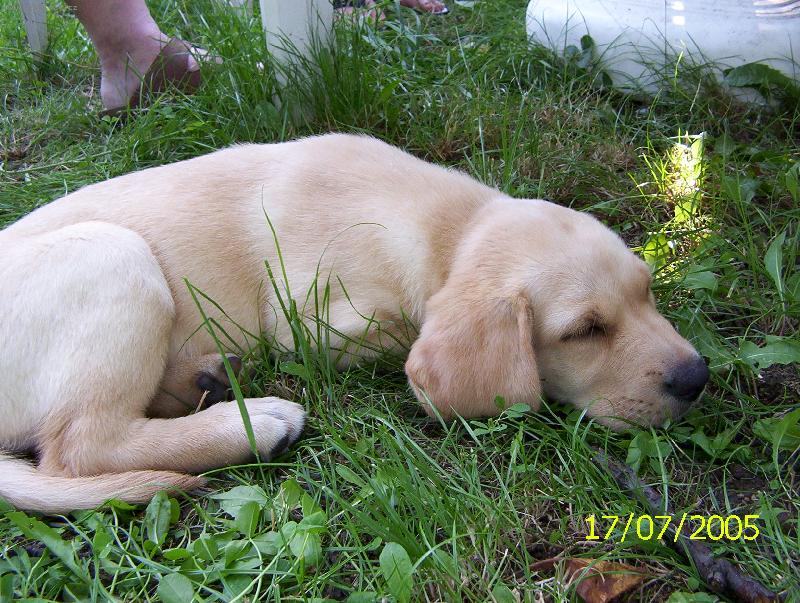 Foto: Bára poprvé na výletě-Sladké sny