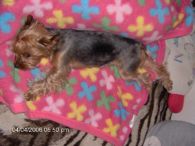 Foto: Polední siesta na chaloupce