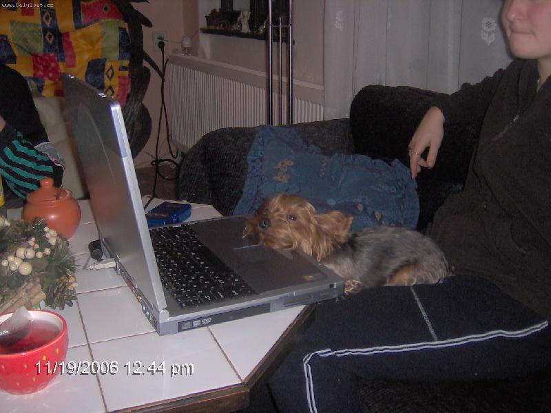 Foto: To věčné surfování po internetu docela unaví:o\\)