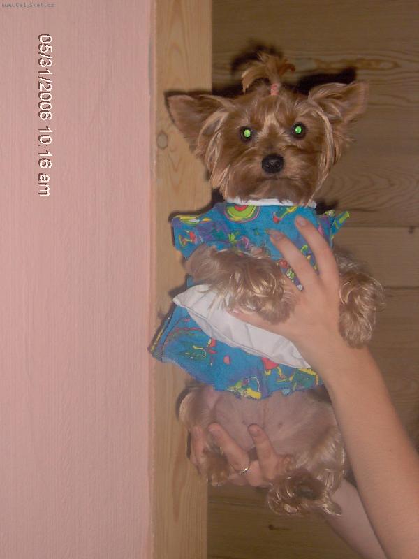 Foto: Tak a můžeme se pustit do vánočního úklidu:o\\)