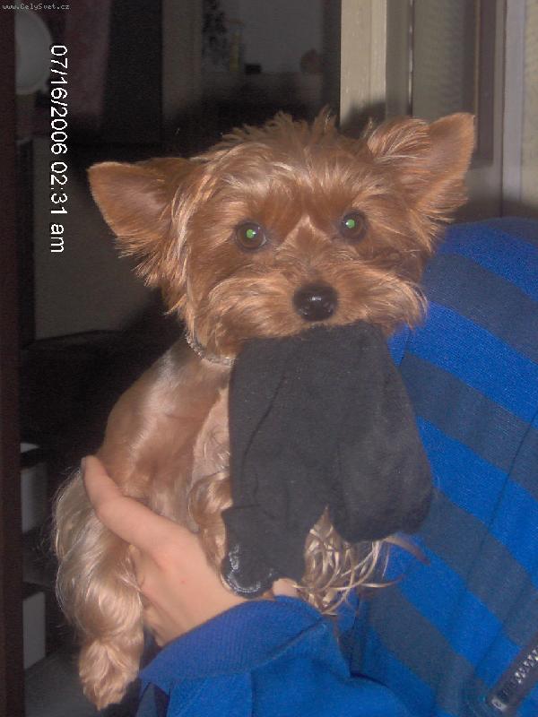 Foto: Zdá se, že tahle ponožka není určitě moje