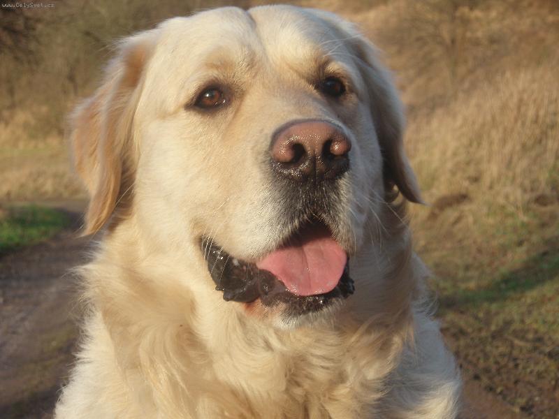 Foto: jó portrét\\.\\.\\.\\.\\.-\\(ale fotim se nerad\\)