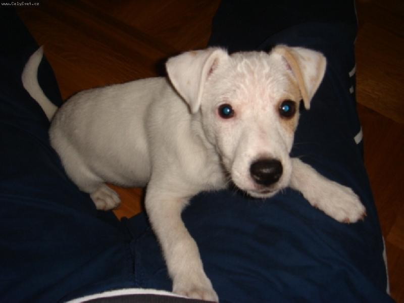 Foto: já jsem Jack a ty?