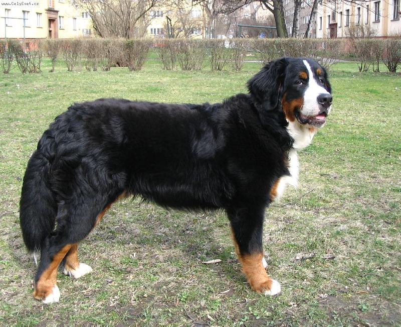 Foto: Ještě malý nebo už velký\\?-Astor Polepské údolí 9 měsíců