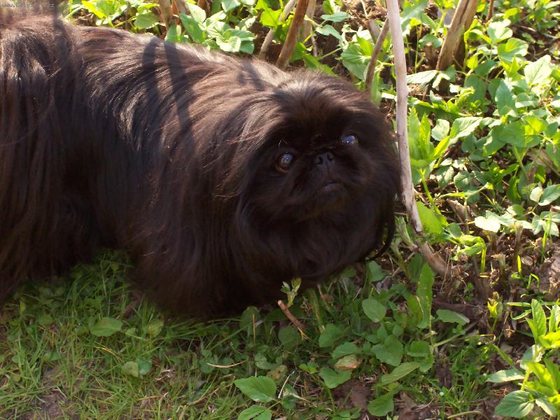 Foto: Megynka-Já se tak ráda fotím\\.