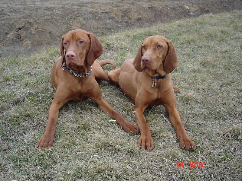 Foto: procházka-super dvojka