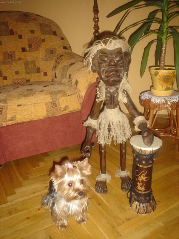 Foto: Ami a kamarád