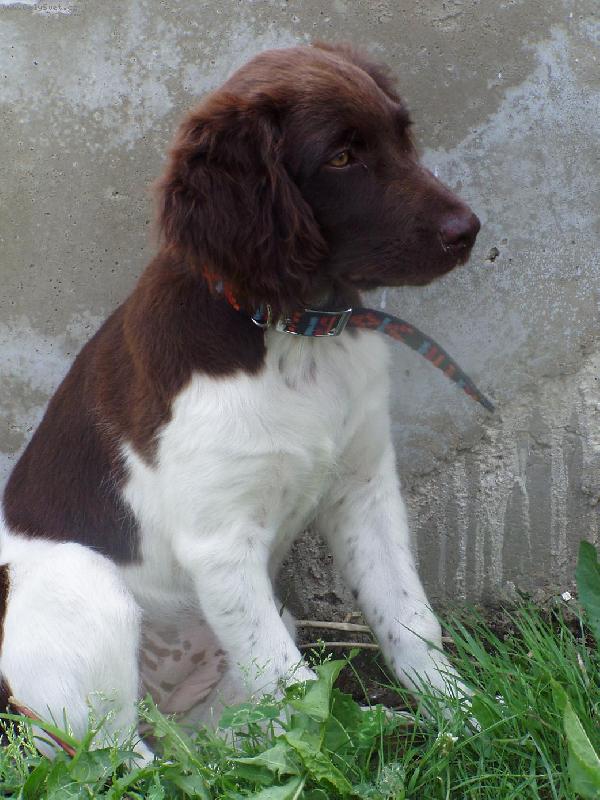 Foto: Hera z Vlasteckého vrchu\\.\\.\\.\\.Bona