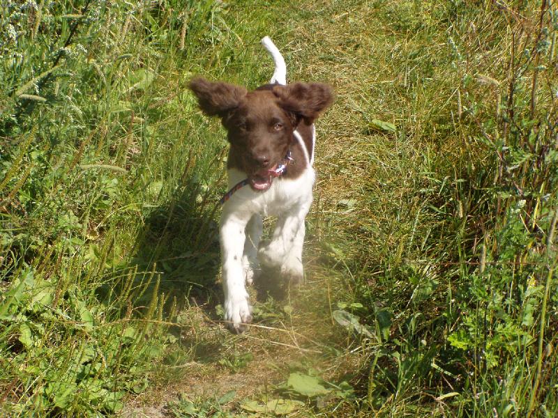 Foto: Hera z Vlasteckého vrchu