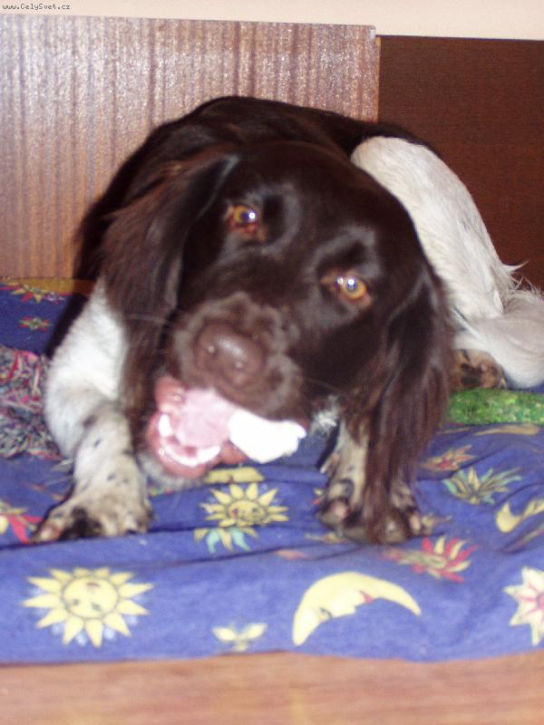 Foto: Hera\\.\\.\\.10 měsíců