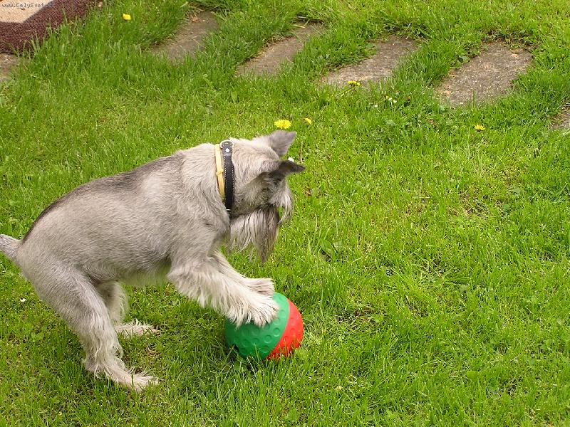 Foto: VIKI-\\.\\.\\.aby aspoň jeden kousek\\.\\.\\.