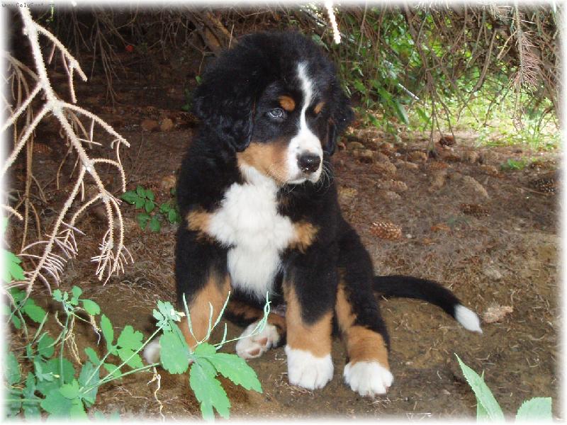 Foto: Amadeus-9-ti týdenní miminko :-\\)