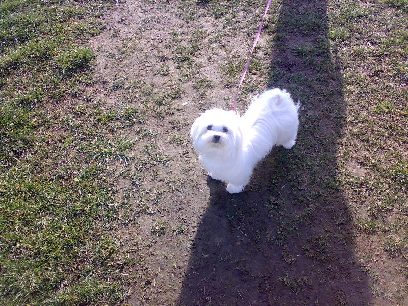 Foto: Náš miláček Sindynka