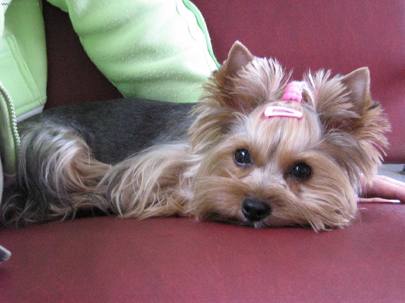 Foto: Ami na cestách