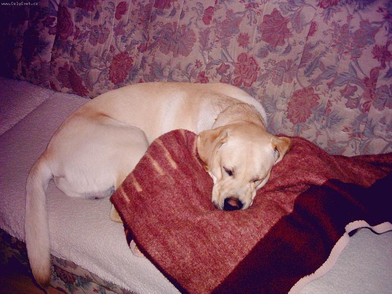 Foto: Badíček-mé sladké spaní