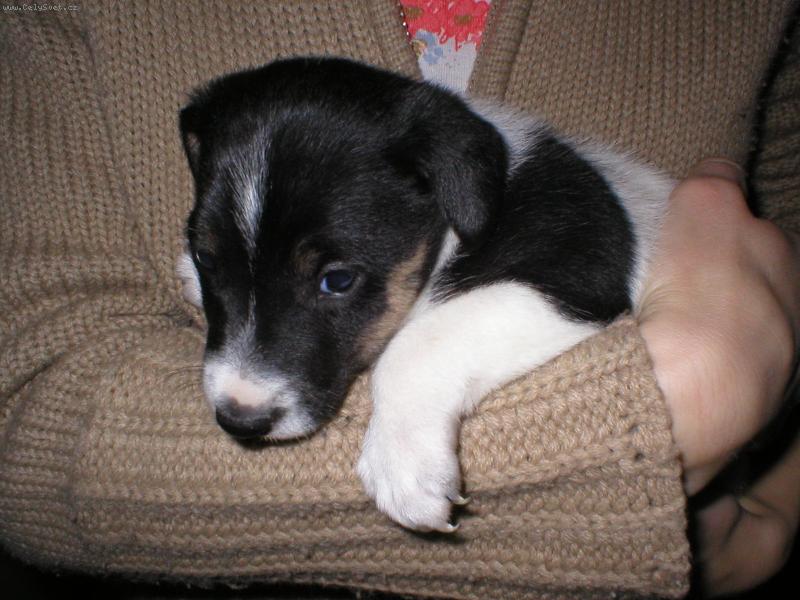 Foto: naše ája-ajinka