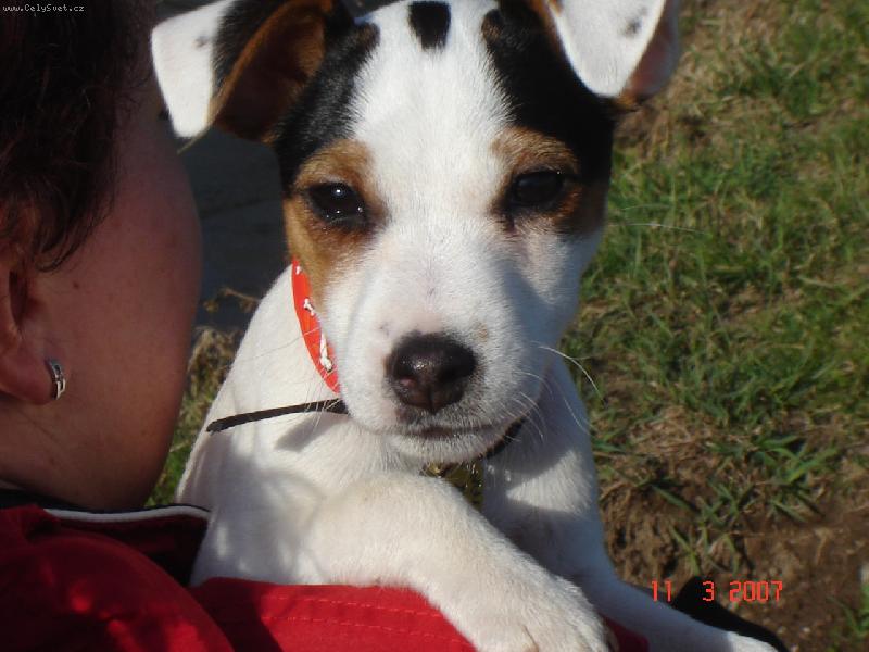 Foto: Agnes-Už jsem povyrostla. A taky už skoro poslouchám.