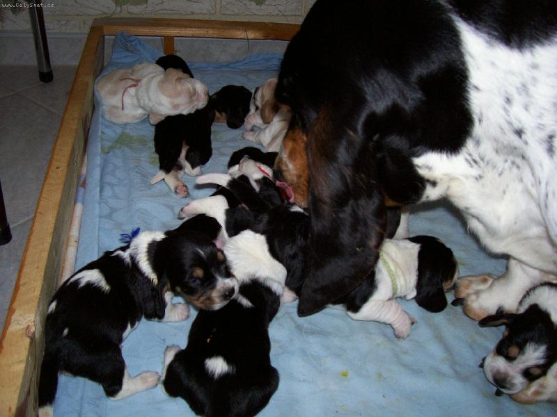 Foto: basetí rodinka